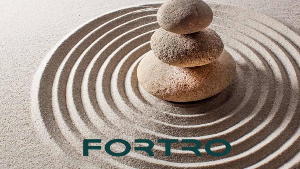 The Power of Kaizen at Fortro 1 The Power of Kaizen at Fortro